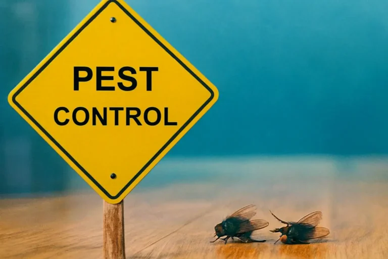 Pest Contamination Blog_